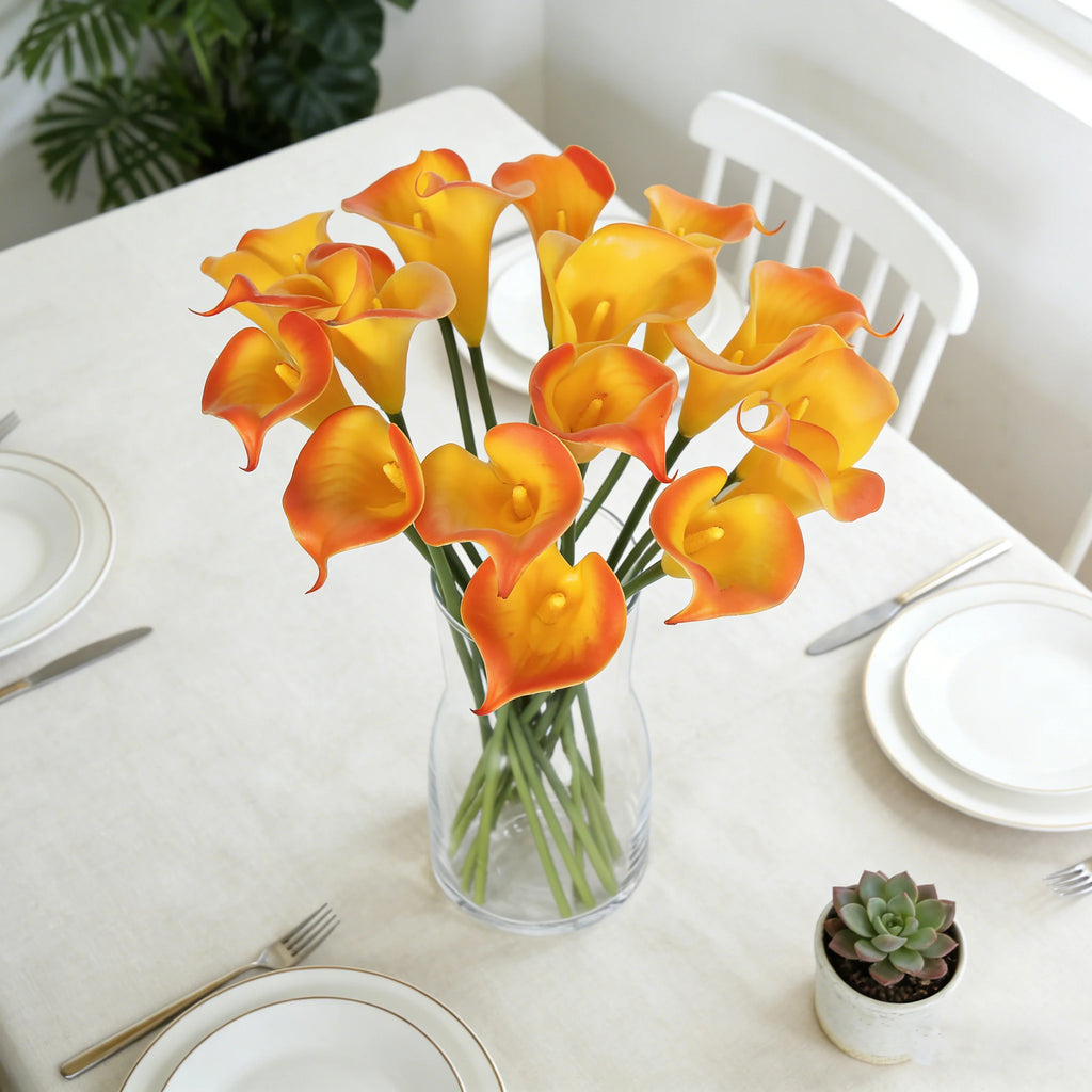 Se05ed5db360f4d87a3b9cc04351b2b00N